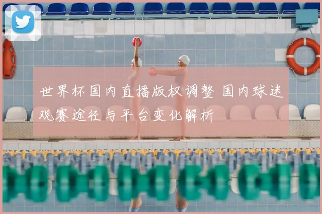 世界杯国内直播版权调整 国内球迷观赛途径与平台变化解析
