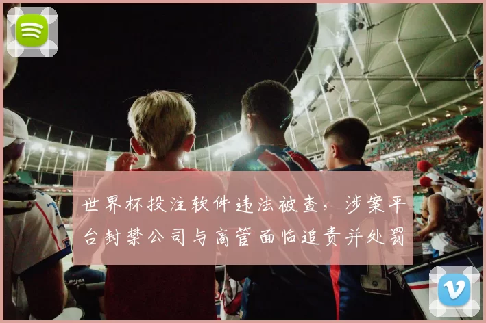世界杯投注软件违法被查,涉案平台封禁公司与高管面临追责并处罚款