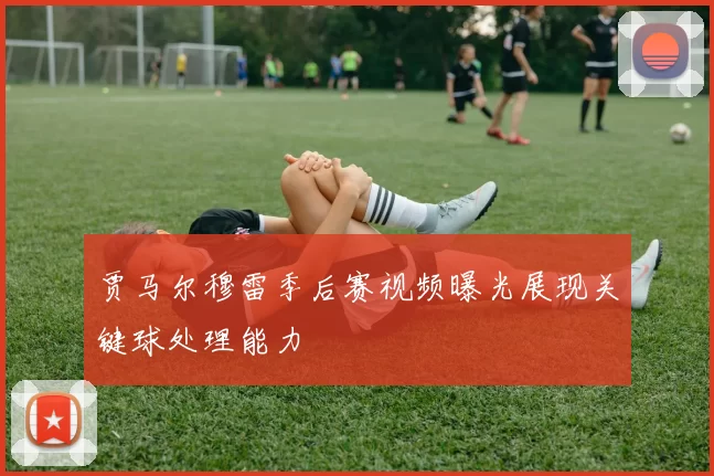 贾马尔穆雷季后赛视频曝光展现关键球处理能力