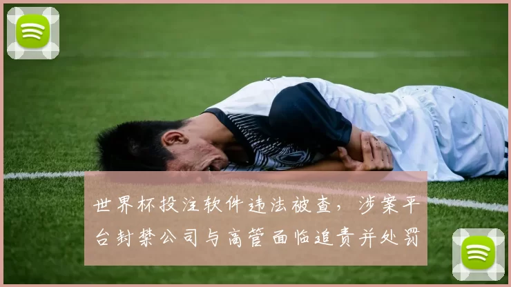 世界杯投注软件违法被查,涉案平台封禁公司与高管面临追责并处罚款