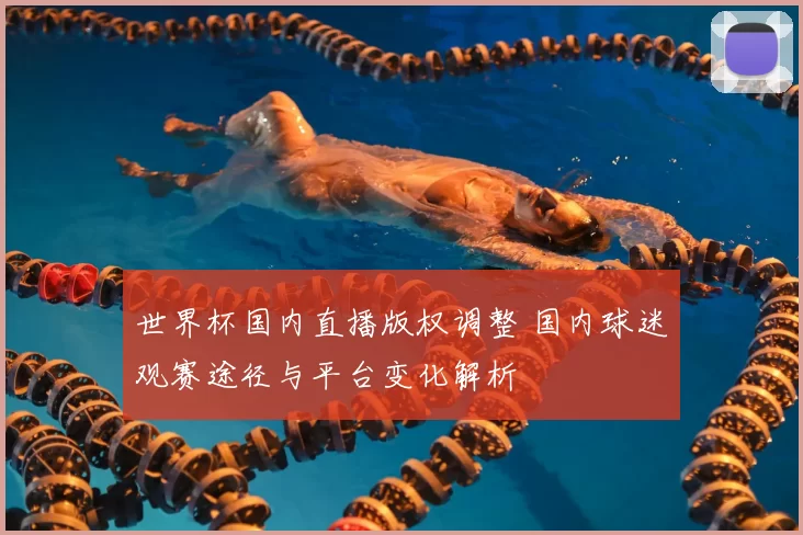 世界杯国内直播版权调整 国内球迷观赛途径与平台变化解析