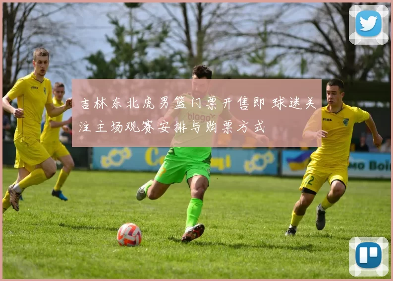 吉林东北虎男篮门票开售即 球迷关注主场观赛安排与购票方式