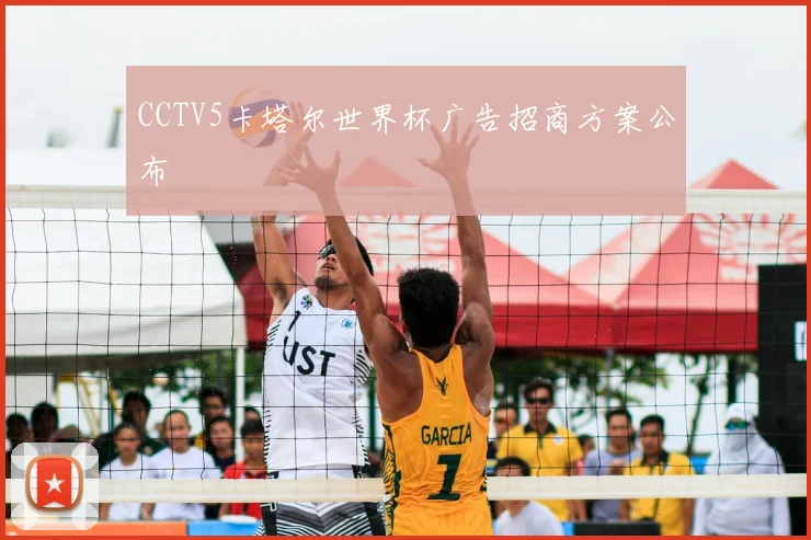 CCTV5卡塔尔世界杯广告招商方案公布